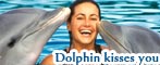 Dolphin Kiss You