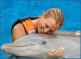 Dolphin Hug