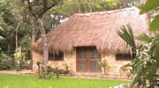 Ecotourism Cancun Isla Mujeres