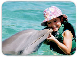 Dolphin and Kid